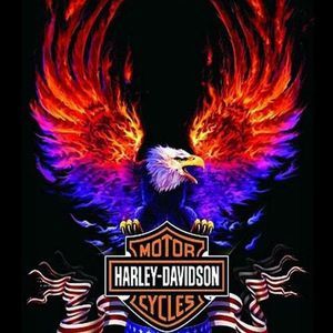 Meet your Posher, Ronald